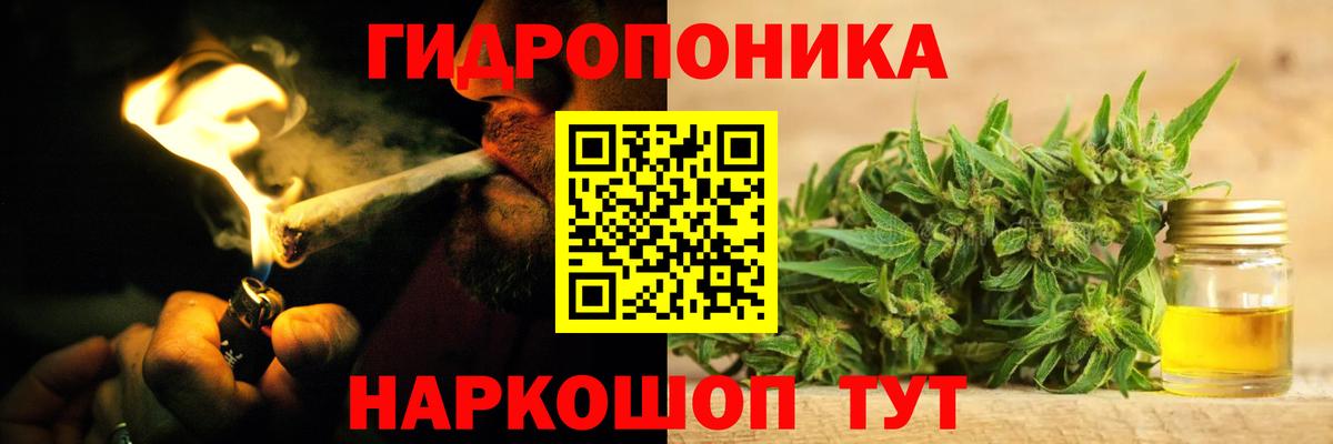 Рассказово  Каннабис Amnesia  Бошки Шишки Bruce Banner  Бошки Шишки конопля  Вход с VPN 